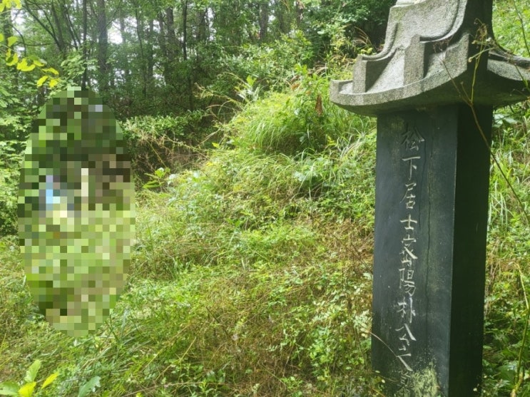  2025년 무주 무풍벌초 고인돌장의사 #김천벌초 #선산벌초 #구미벌초 #황간벌초 #영동벌초 #성주벌초 #상주벌초 #벌초대행 #벌초 #추석벌초 #손없는날 #윤달