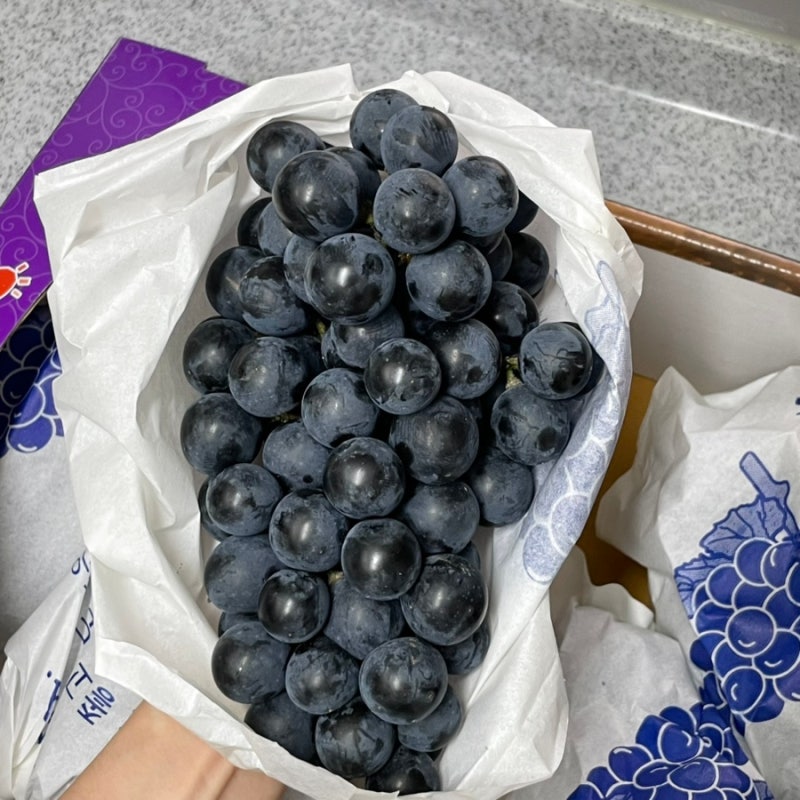 쿠팡 추석 명절선물 영동 학산 머루포도 내돈내산