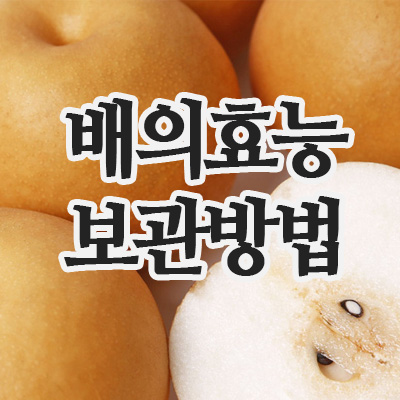  과일 배의 효능과 오래 두고 먹는 배보관방법