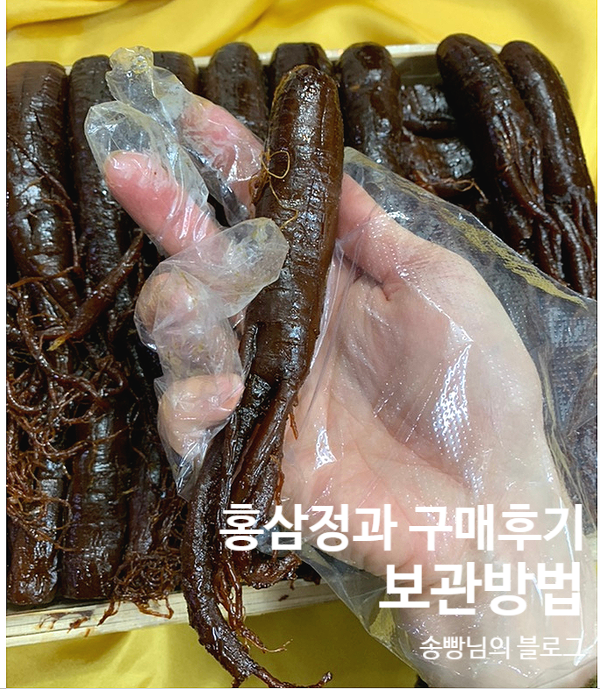 [후기공유]송빵님의 흙애열매 홍삼정과 보관방법 먹은후기