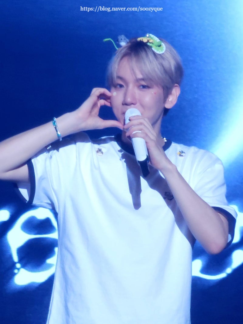 2025 BAEKHYUN WORLD TOUR 〈Reverie〉 in Tokyo 백현 콘서트 후기