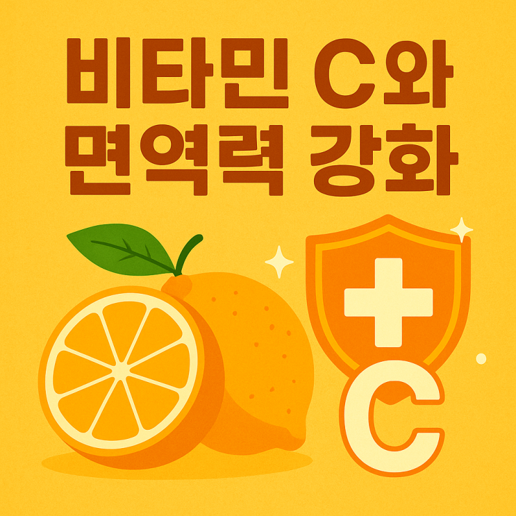  비타민 C와 면역력 강화: 건강을 지키는 필수 영양소