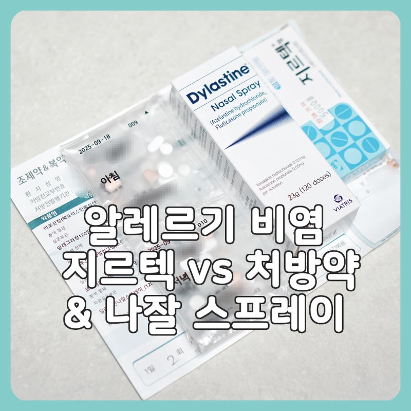 알레르기 비염 증상ㅣ지르텍 vs 처방약 & 딜라스틴 나잘스프레이 효과 경험담