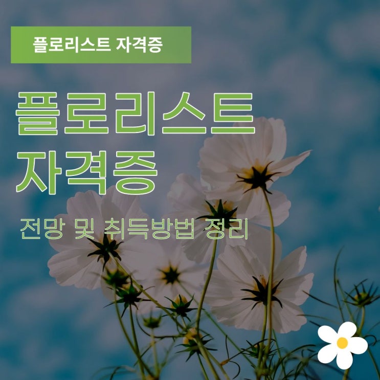  플로리스트 자격증 전망 및 취득방법 정리