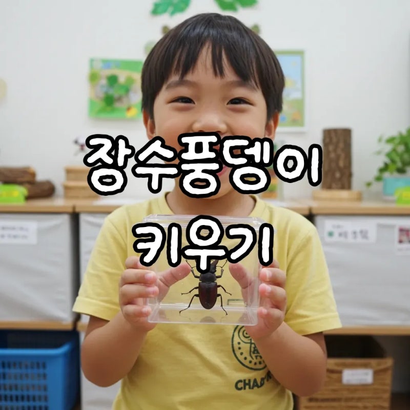우리 아이 첫 곤충 친구, 장수풍뎅이문구점부터 초급자세트, 다이소 장난감까지!