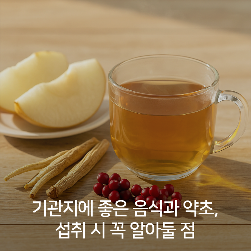 기관지에 좋은 음식과 약초 8가지, 섭취 시 꼭 알아둘 점
