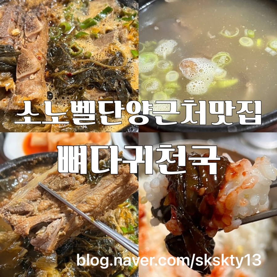 뼈다귀천국 사진 1