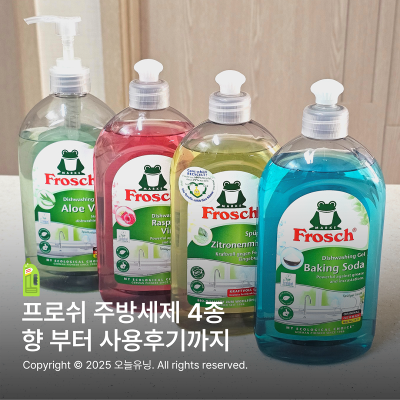 프로쉬 주방세제 4종 베이킹소다 레몬민트 알로에 라즈베리 향 사용후기