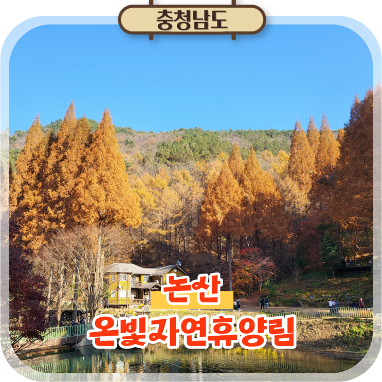  논산 온빛자연휴양림 가을 여행, 충남 가볼만한곳 추천!