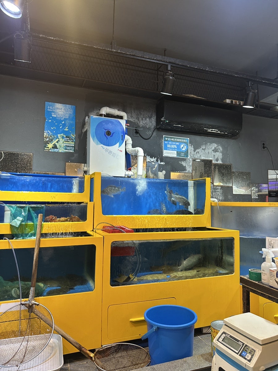 찐수산 사진 1