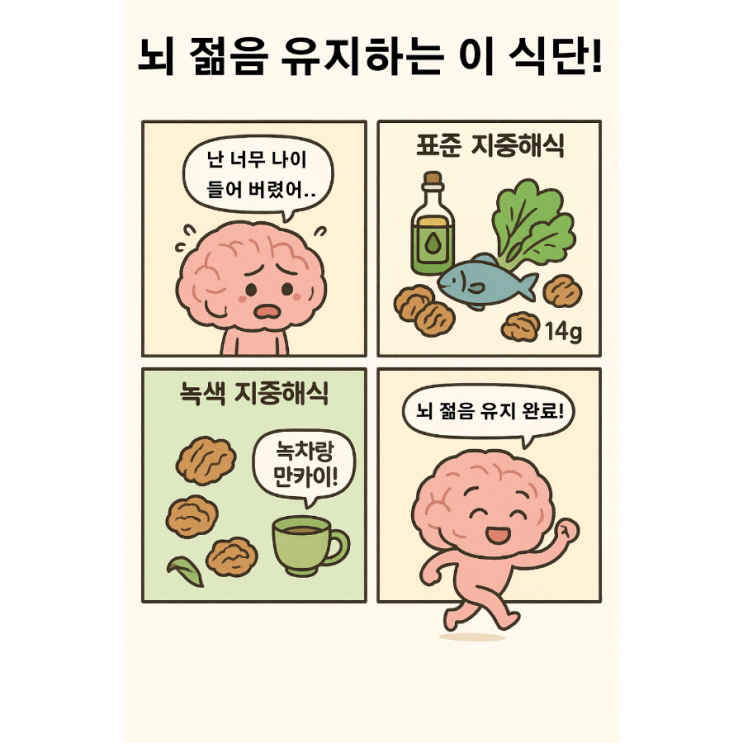   뇌 노화를 늦추는 최강 식단? ‘녹색 지중해식’의 비밀 