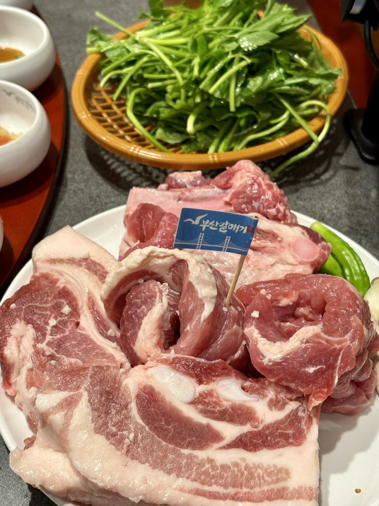  원주맛집 부산갈매기 원주단계점｜미나리랑 먹는 주먹소금구이의 정석