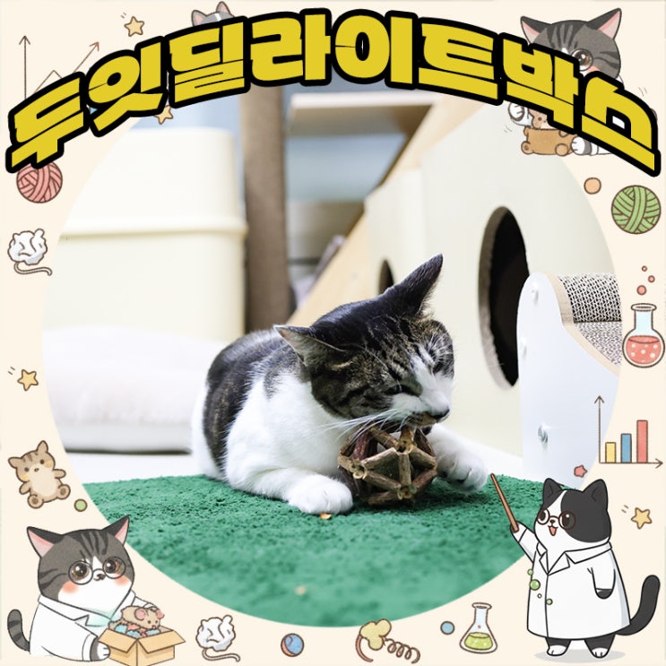  두잇 딜라이트박스 고양이의 본능을 자극하는 마따따비 캣닢 장난감