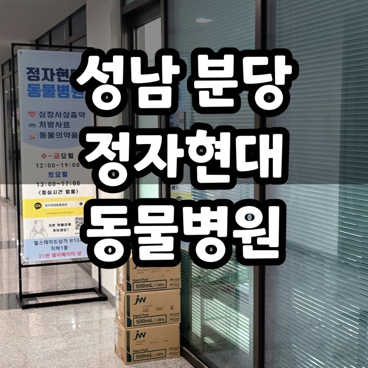  정자현대동물병원, 동물약국 방문기
