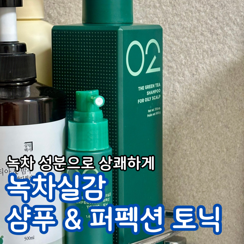 탈모샴푸 추천 아모스 녹차실감 퍼펙션 토닉으로 두피를 상쾌하고 건강하게