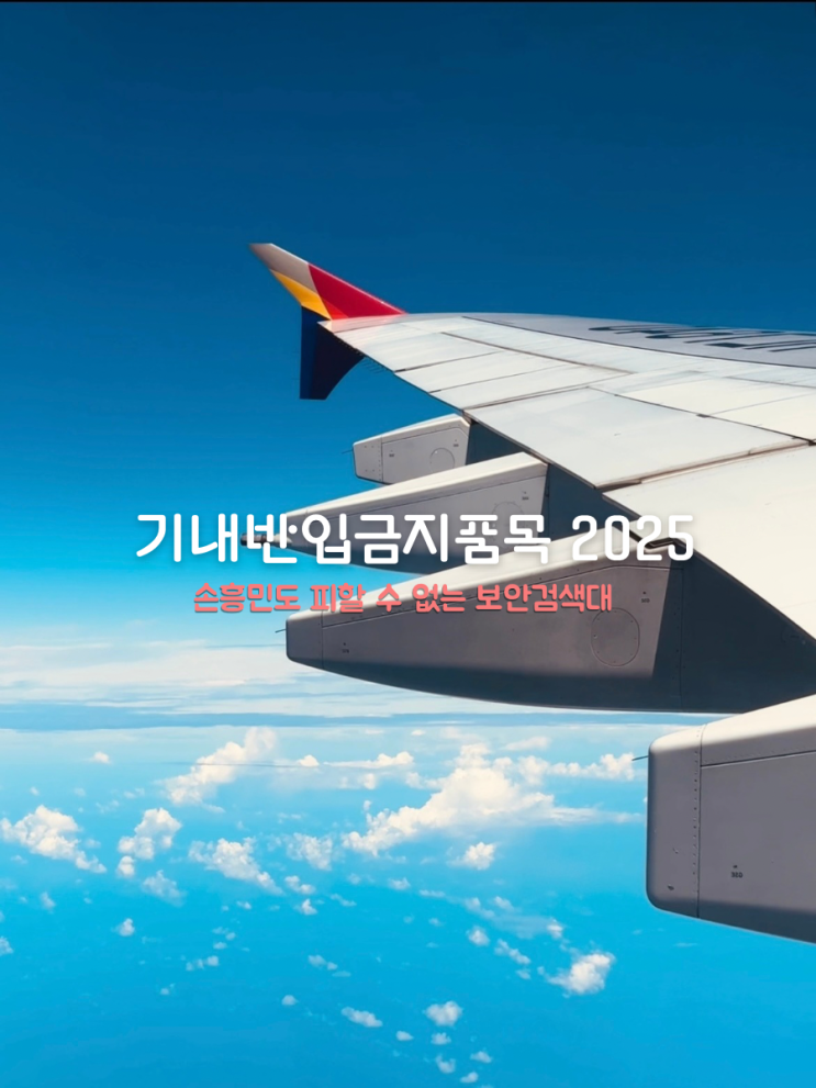  공항 보안검색에 걸린 손흥민 국제선 국내선 기내 반입 금지 품목