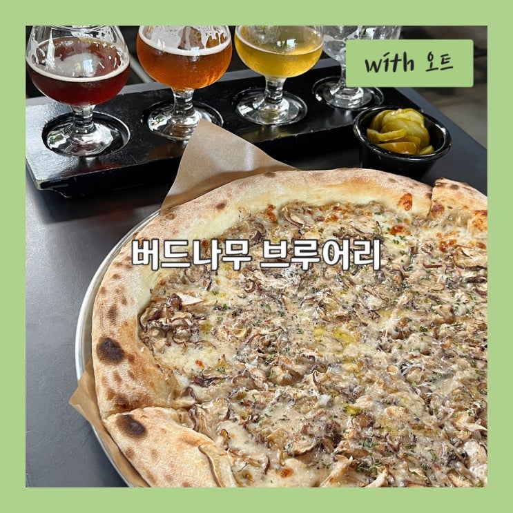  송고버섯 피자는 꼭 드세요, 강릉 또간집 맛집 버드나무 브루어리