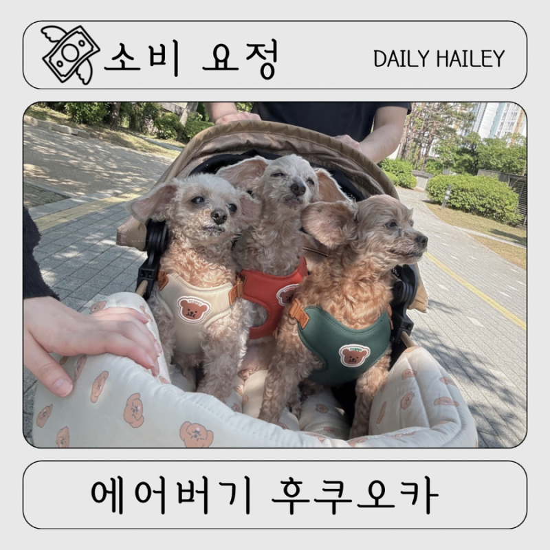 [일본 에어버기 구매]개모차 사러 후쿠오카 에어버기 다녀왔습니다