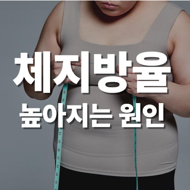  정자역 다이어트 후 체지방률이 자꾸 높아지는 이유는?
