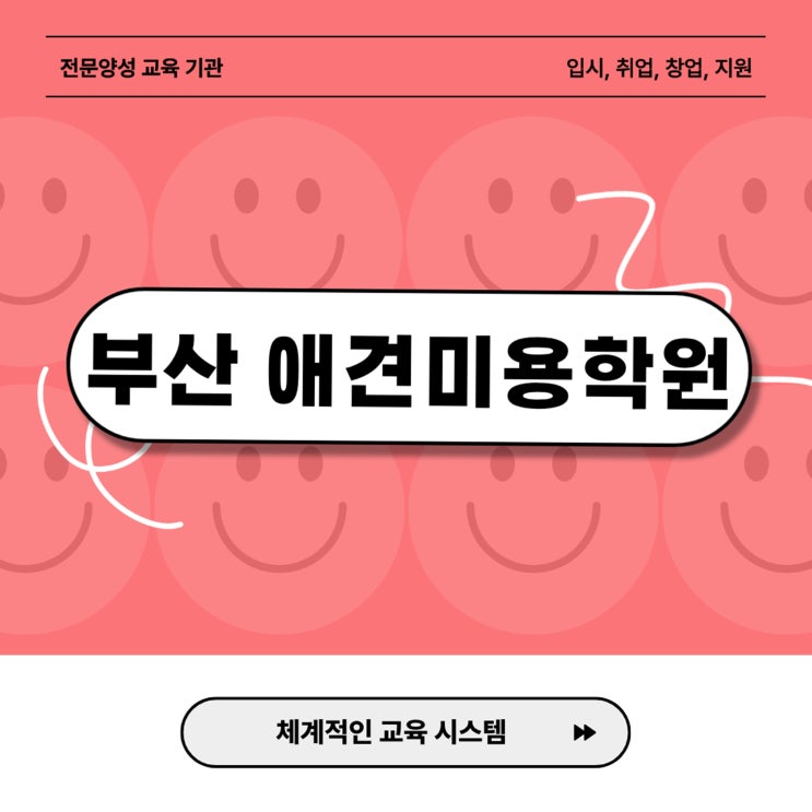  부산애견미용학원 특별 지원으로 부담 덜고 자격증 취득하는 방법