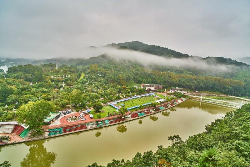 사진 5
