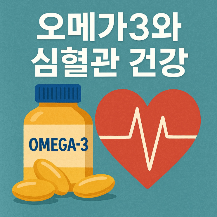  오메가3와 심혈관 건강: 혈관 나이를 지키는 습관