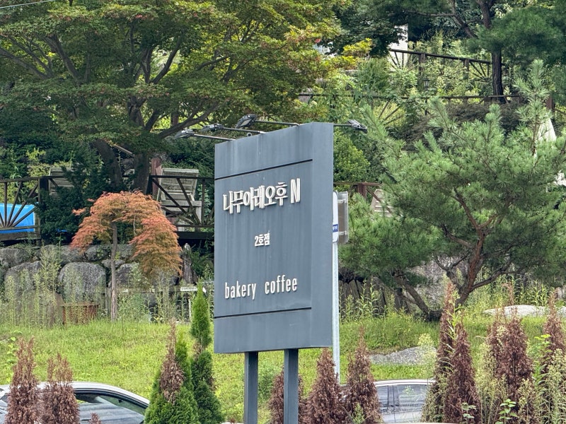 사진 5