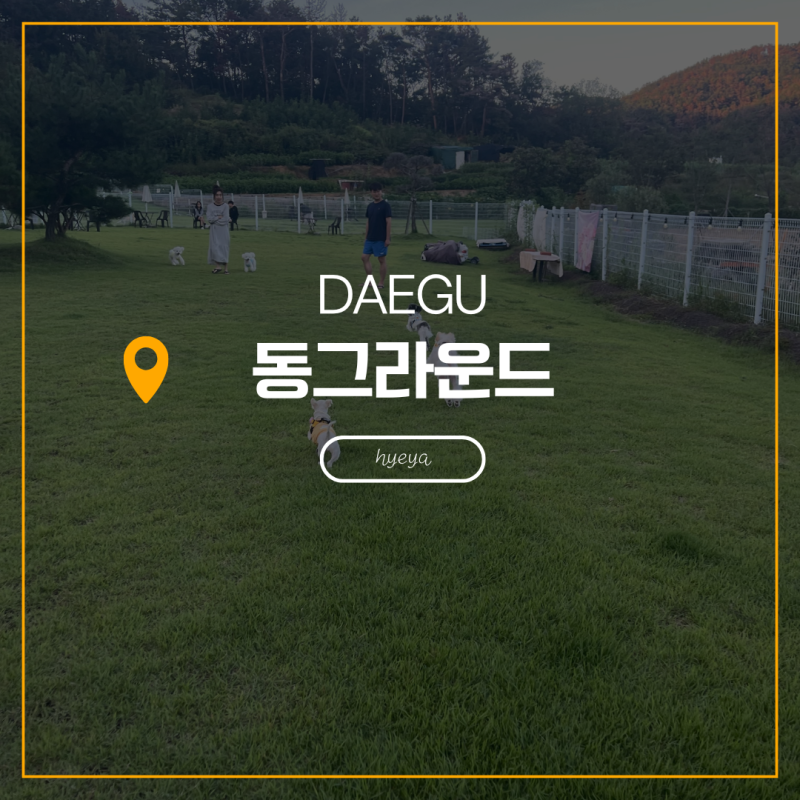 사진 5