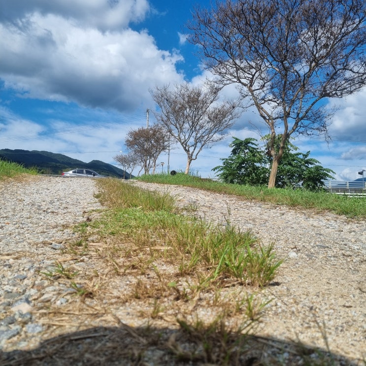  [광주 전남 아이와 가볼만한곳] 깨끗한계곡폭포 주말나들이 지리산 수락폭포 후기