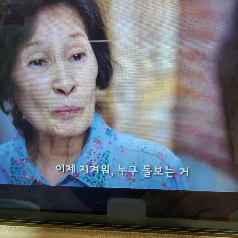 사진 4