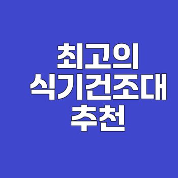 2025년 최고의 식기건조대 추천과 선택법