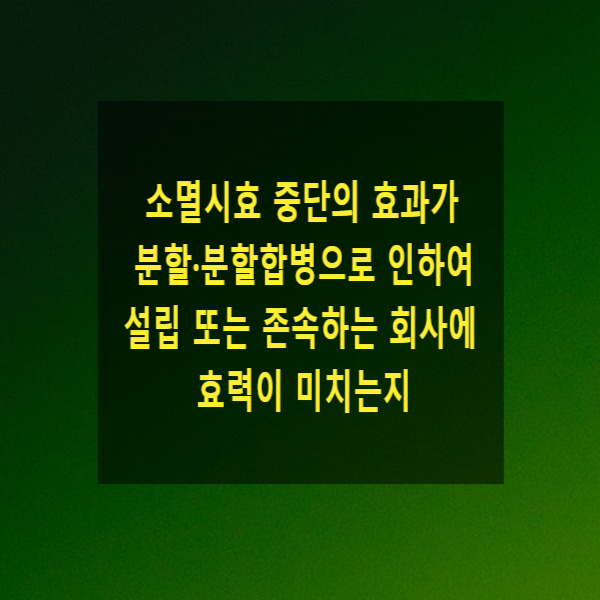  소멸시효 중단의 효과가 분할·분할합병으로 인하여 설립 또는 존속하는 회사에 효력이 미치는지(부진정연대채무)