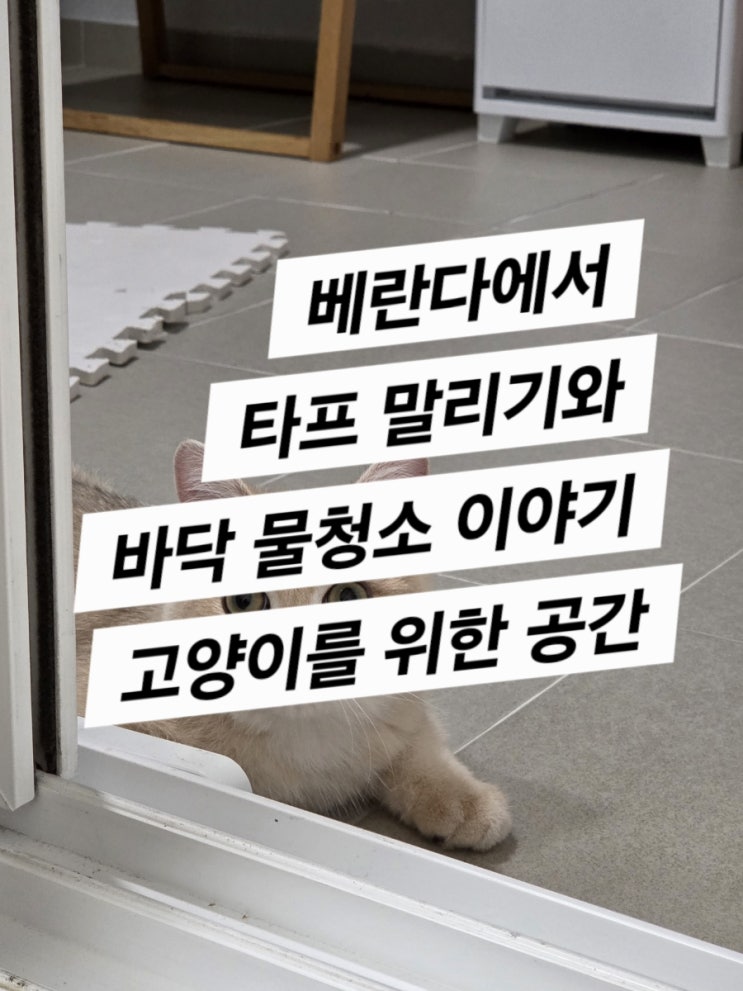  베란다 타프(헥사에보프로) 말리기 그리고 베란다 바닥 믹싱이야기 (고양이의 요청)