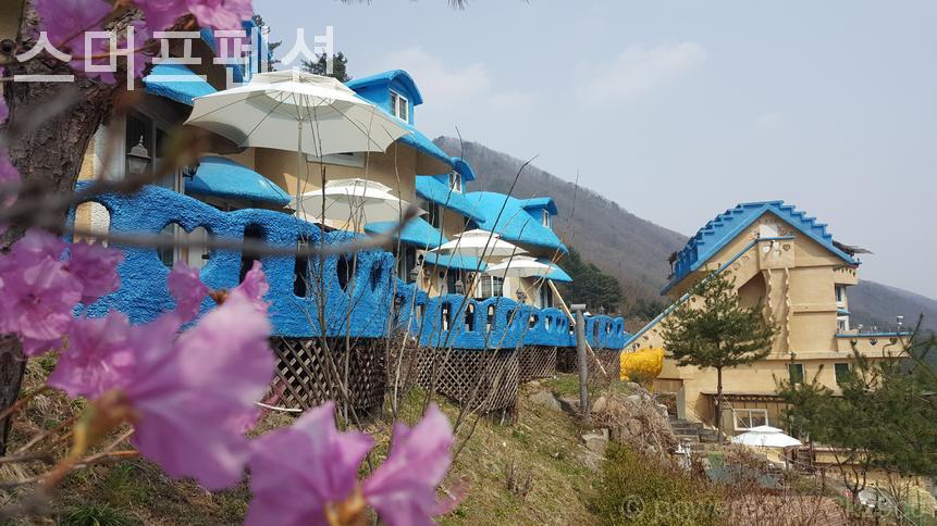 Seumeopeupensyeon photo 5