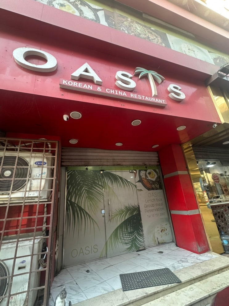  카이로 한식당 추천 Oasis 후기