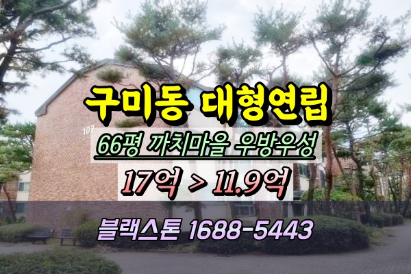  까치마을 우성빌라 경매 분당고급연립 66평 [10/13입찰]
