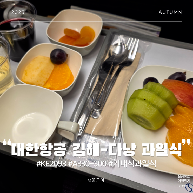  대한항공 KE2093 이코노미 부산 김해-베트남 다낭 A330-300 특별식 과일식 일반식 비빔밥