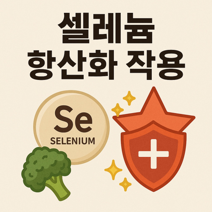  셀레늄과 항산화 작용: 우리 몸을 지키는 필수 미네랄