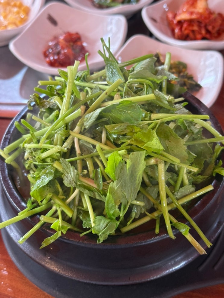  풍암동점심 광주오리탕 맛집 우성오리탕
