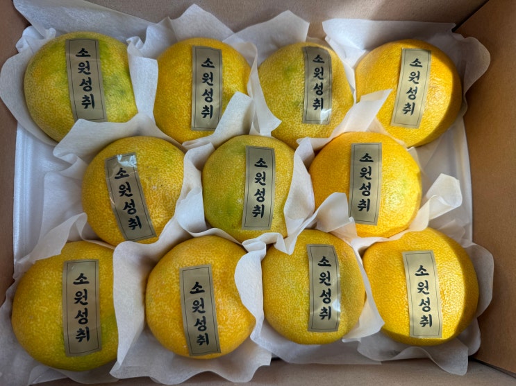  추석선물세트로 좋은 황금향선물세트 풍요와 마음을 전하는 명절 과일선물