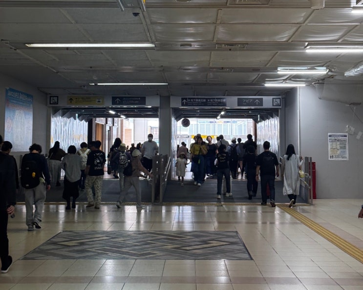  [일본여행] 북해도 가족여행 - 신치토세 공항, Visit Japan 작성 및 세관신고, 신치토세 공항에서 삿포로역 가는방법, 삿포로역 맛집 Yuzuru soba 후기, 내돈내산