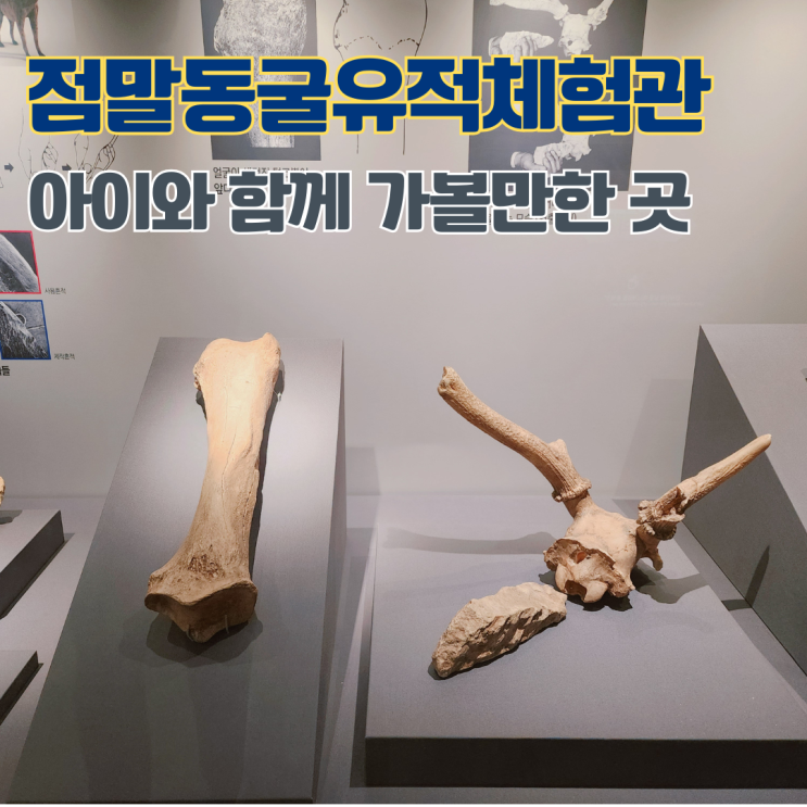  점말동굴유적체험관 선사시대 유적 충북 여행지 제천 실내 아이와 함께 가볼만한 곳