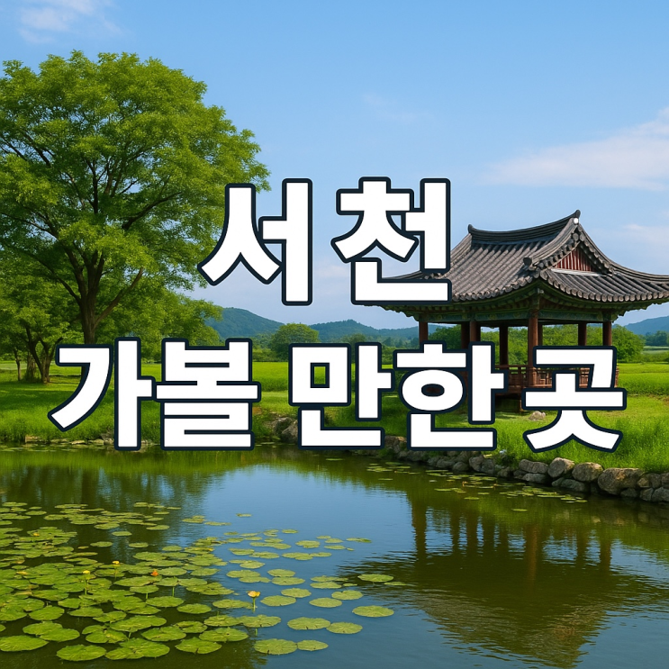  서천 갯벌·생태·동백꽃 가득한 힐링 여행코스 BEST 8