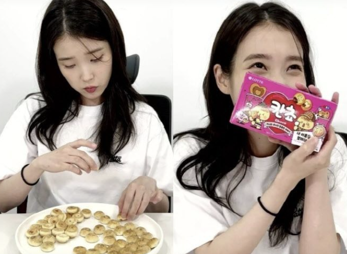  "아이유"도 실패한 ‘칸쵸 이름 찾기’  SNS서 폭발적 인기
