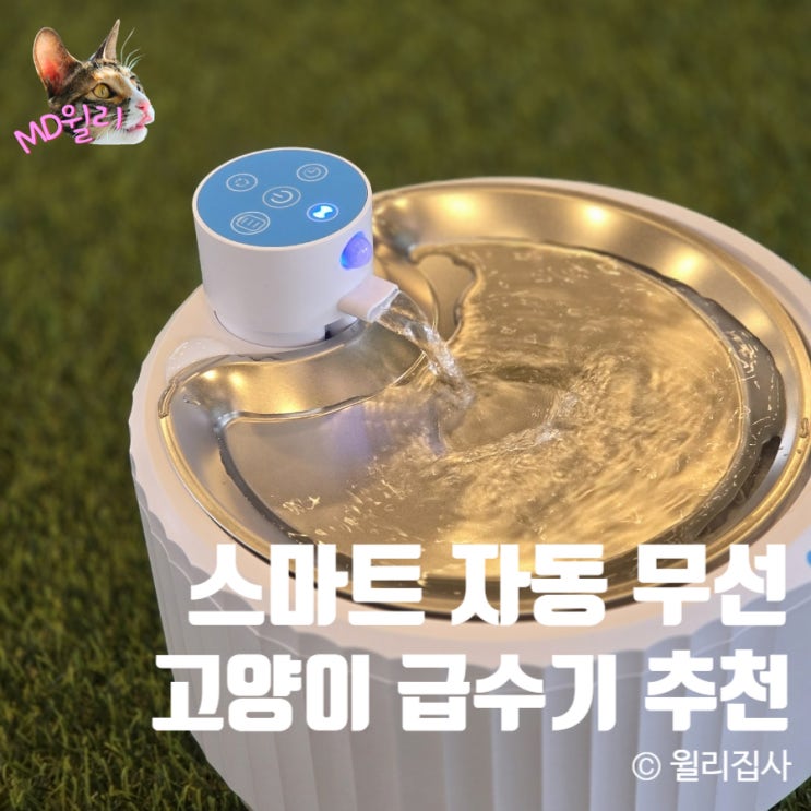  고양이급수기 아키즈 최대 30일 사용 스마트 자동 무선 급수기