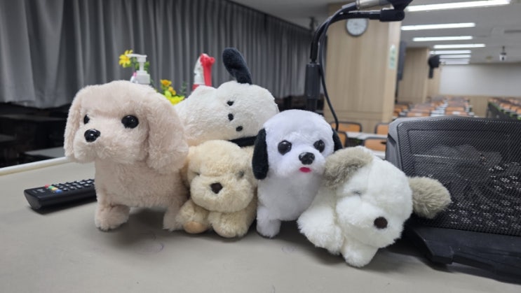  종로ybm 불라방 파워토익 강아지를 아시나요?