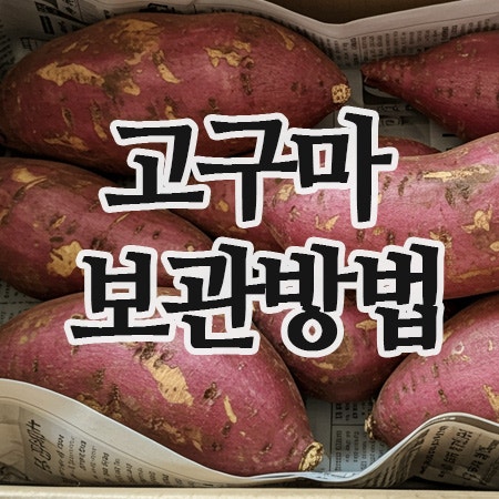  고구마 보관법 총정리｜생고구마·호박고구마·자색고구마까지 오래 두는 꿀팁