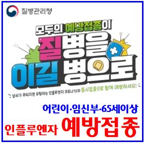  25년 인플루엔자 무료 예방접종 (ft. 계절독감) : 증상뜻, 주사, 감기유행, 34가백신, 검사비용, 잠복기, 바이러스, 어린이, 임신부, 65세이상, 동시권고, 코로나19