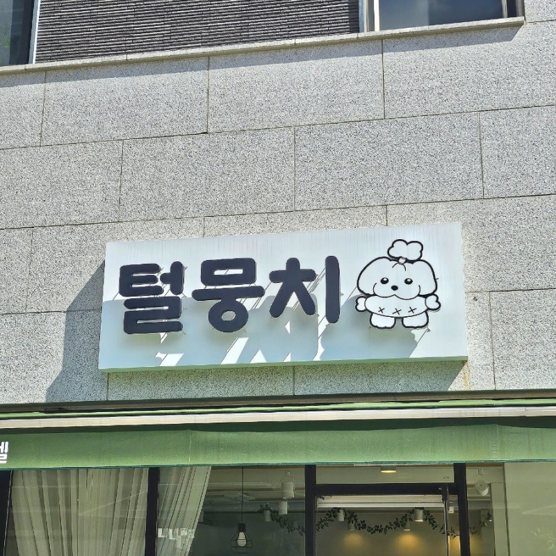 사진 2