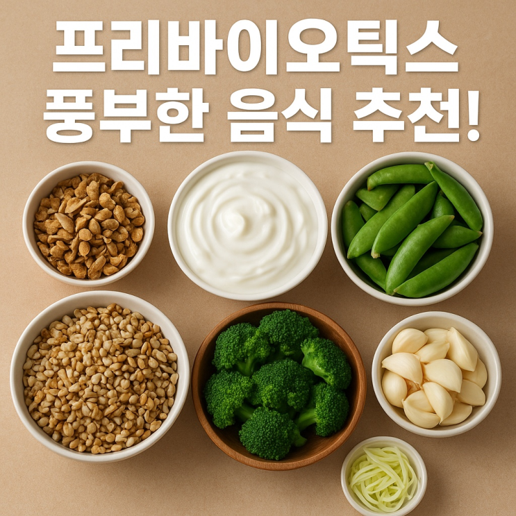  프리바이오틱스 풍부한 음식 추천! 장 건강 지키는 최고의 선택